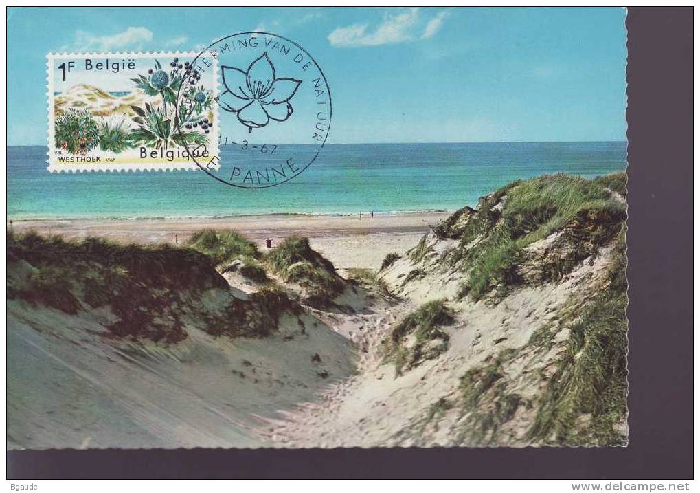 BELGIQUE CARTE MAXIMUM NUM.YVERT 1409  PROTECTION DE LA NATURE LES DUNES DE L OUEST - 1961-1970