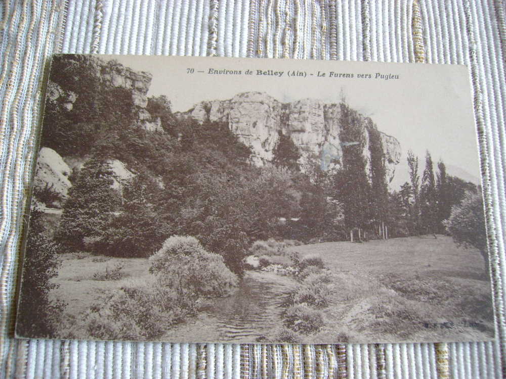 01 - ENVIRONS DE BELLEY - LE FURENS VERS PUGIEU - CPA SEPIA - Belley