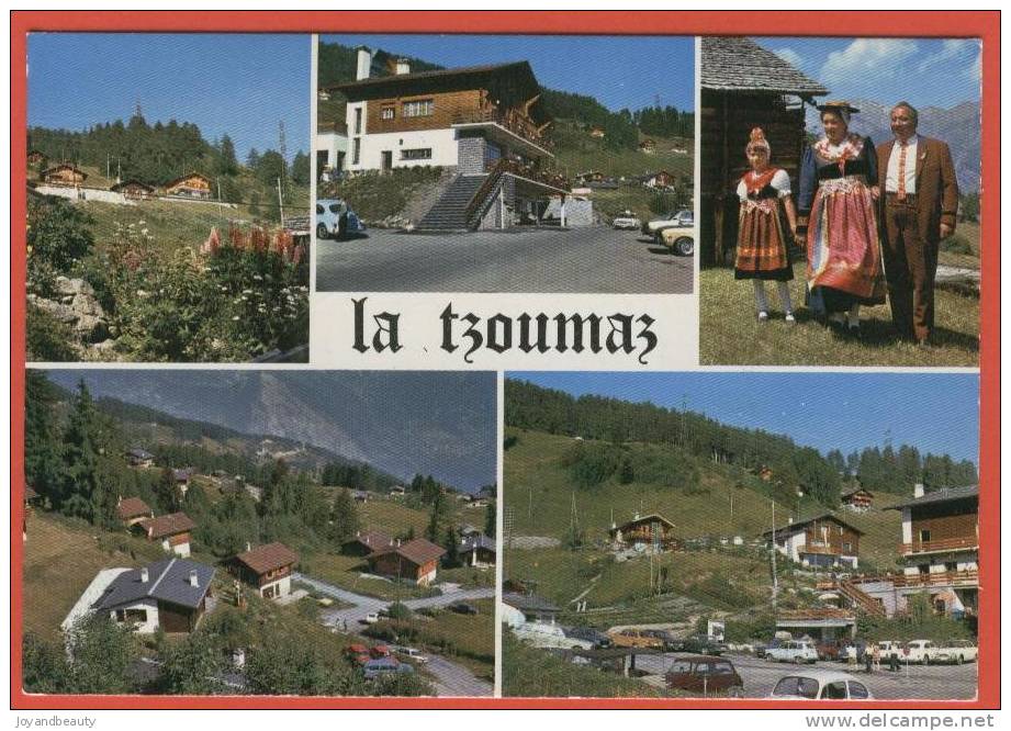 A293, Mayens De Riddes, 1908, La Tzoumaz, Divers Vues, Chalets, Costumes Valaisans,circulée 1975 - Riddes