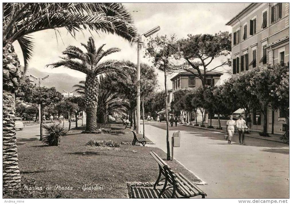 MARINA DI MASSA, GIARDINI   TOS800 - Massa