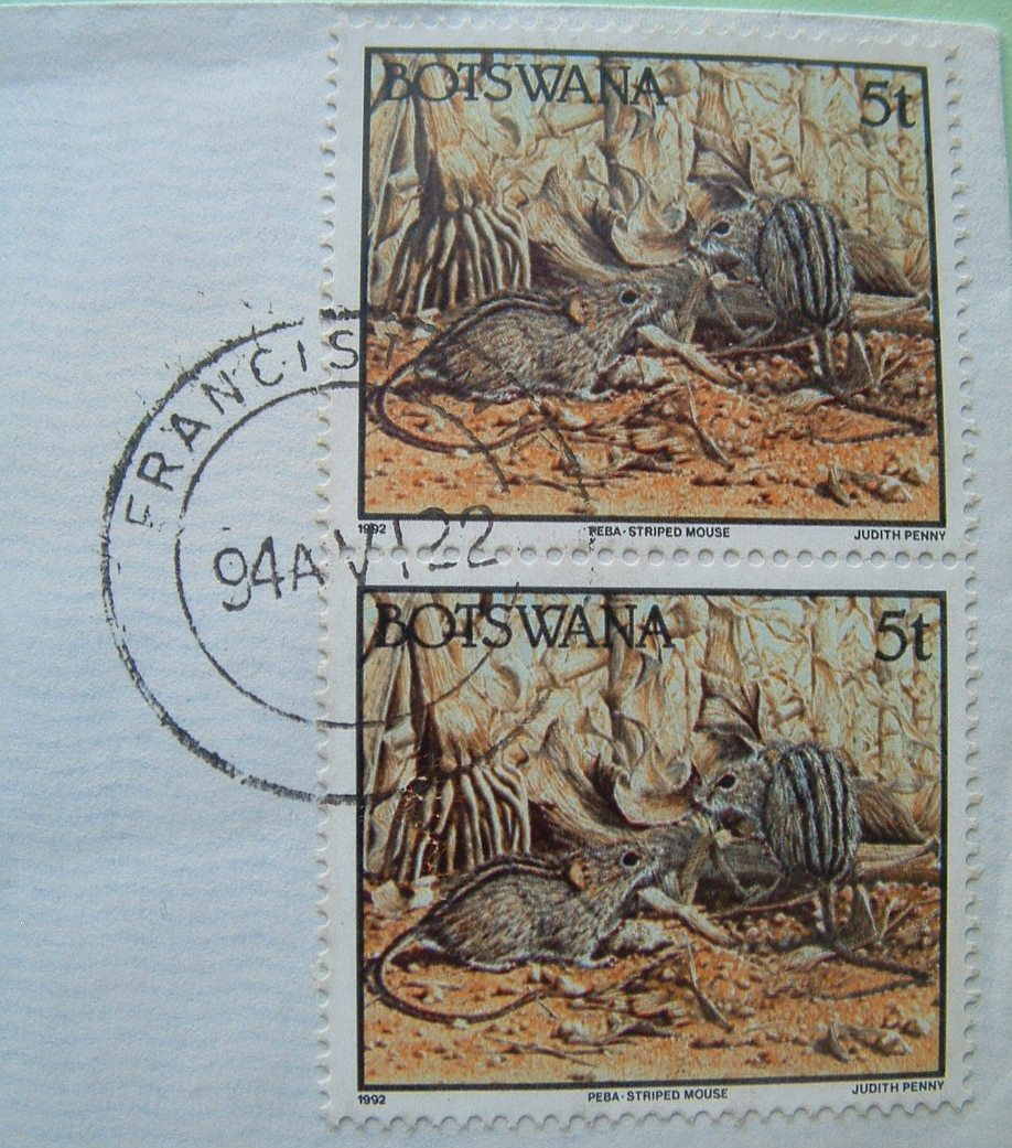 Botswana 1994  Cover Local - Animals Stripped Mouse - Botswana (1966-...)