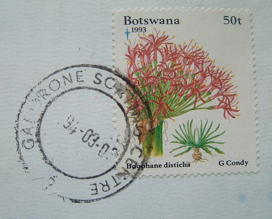 Botswana 1994  Cover To Hong Kong - Flowers Christmas - Botswana (1966-...)