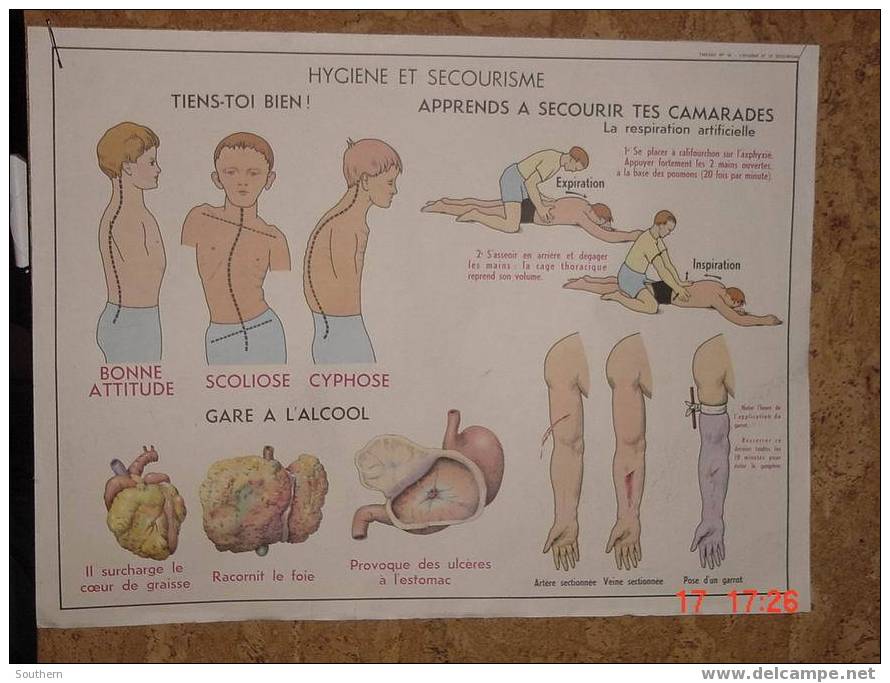 Tableau Scolaire Anscombre - L´excrétion - Hygiène Et Secourisme - Didactische Kaarten