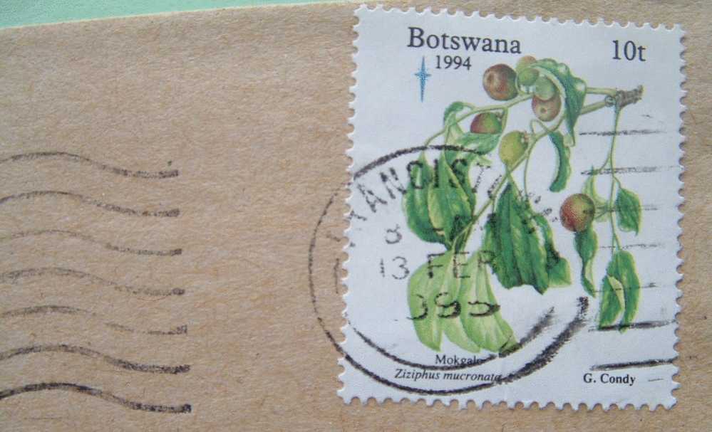 Botswana 1995  Cover Local - Christmas Flower Fruits Ziziphus - Botswana (1966-...)