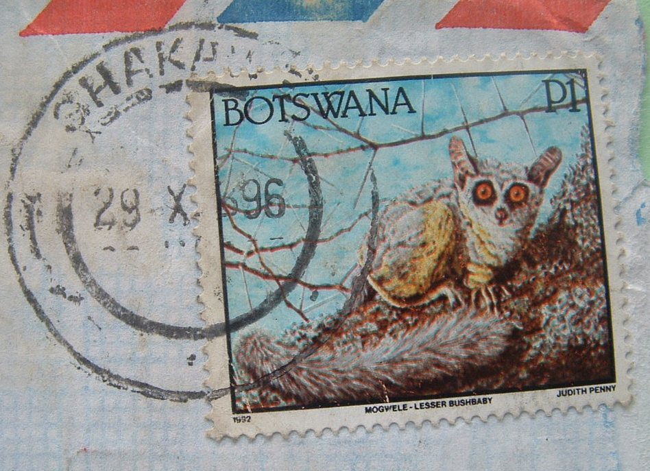 Botswana 1996 Cover To England UK - Sent To A School Council - Animals Bushbaby Lemur - Botswana (1966-...)