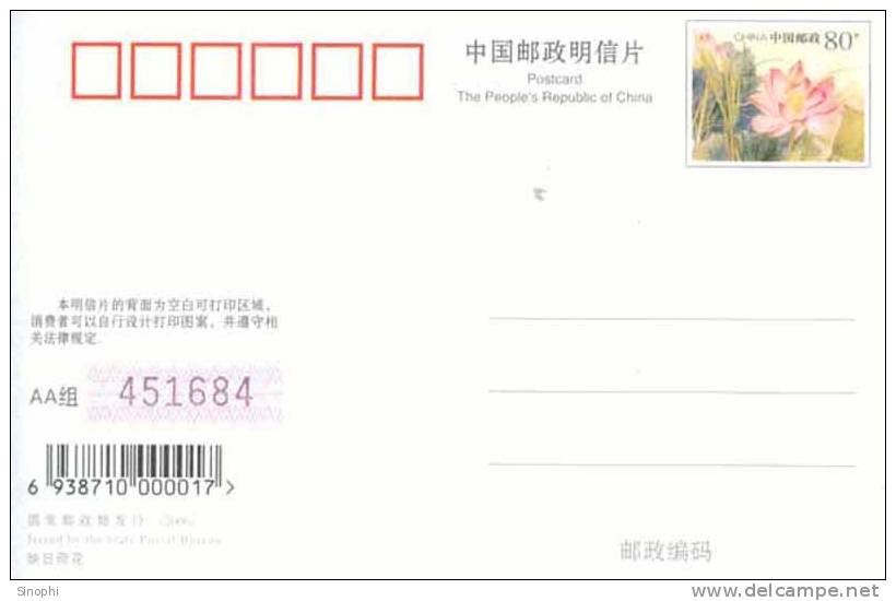 Y02-95  @  Handisport Disable Person   ( Postal Stationery , Articles Postaux , Postsache F ) - Handisport