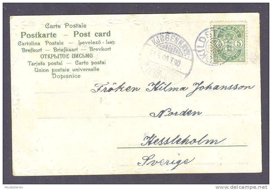 Denmark UPU PPC Deluxe KJØBENHAVN-MASNEDSUND 1904 Ambulant Bahnpost Train Stjernestempel ESKILDSTRUP Sweden Card - Storia Postale