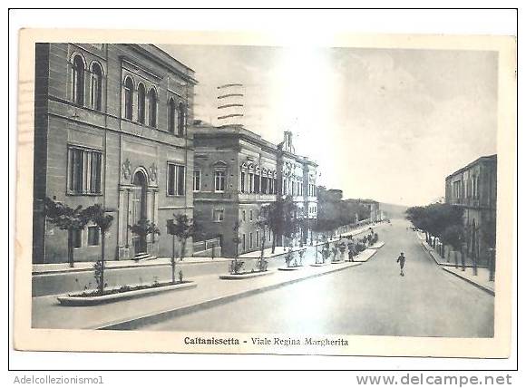 47571)cartolina Illustratoria Caltanissetta - Viale Regina Margherita E Panorama - Caltanissetta