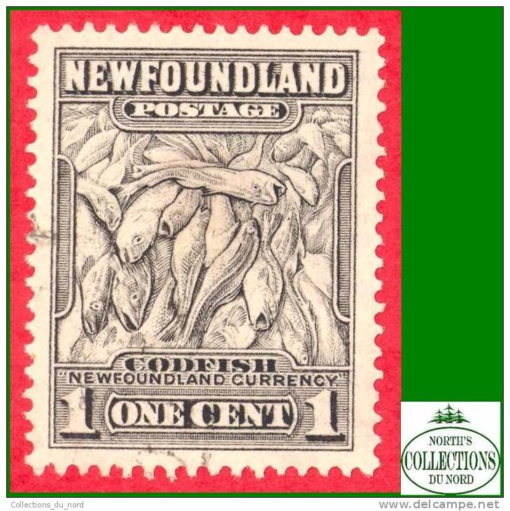 Newfoundland # 184 Scott - Unitrade - O / Terre-Neuve - 1908-1947