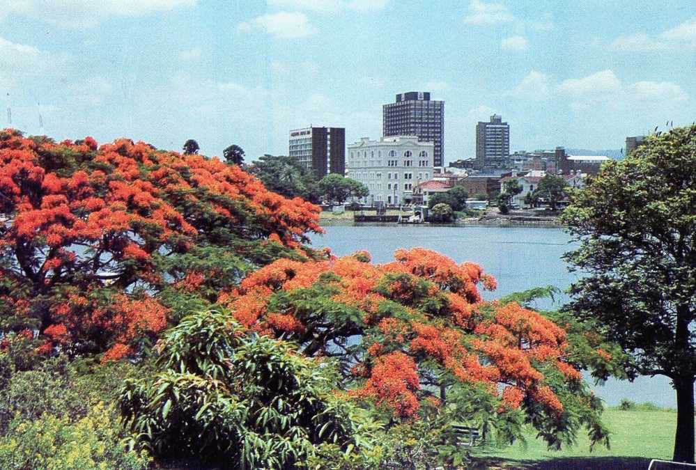 Australia 1976 Brisbane - Featuring Poinciana Trees Prepaid PC Unused - Brisbane