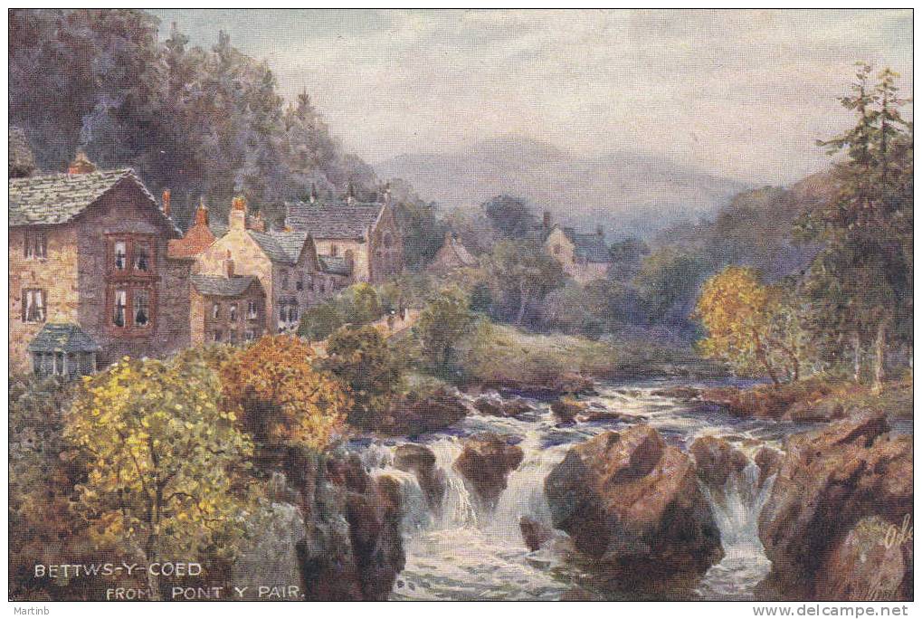 BETTWS Y COED  From Pont Y Pair - Caernarvonshire