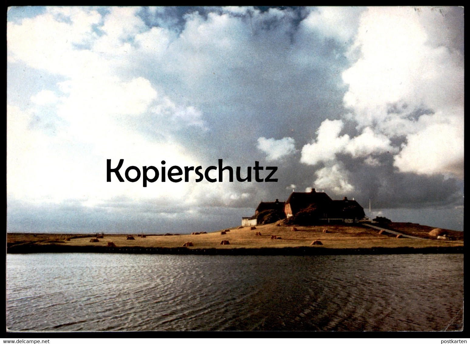 ÄLTERE POSTKARTE HALLIG HOOGE WESTERWARFT AUFNAHME UW OLDAG STEMPEL HEIMATMUSEUM Ansichtskarte AK Cpa Postcard - Halligen