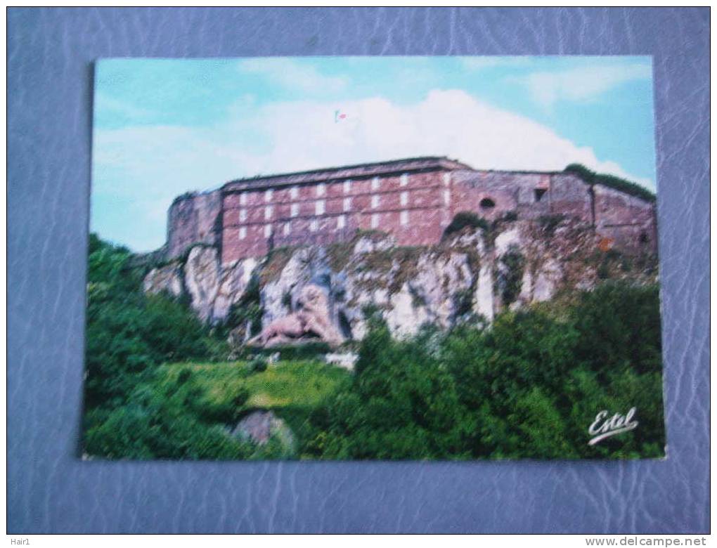 VDS CARTE POSTALE BELFORT VUE SUR LA CITADELLE ET LE LION - Belfort – Le Lion