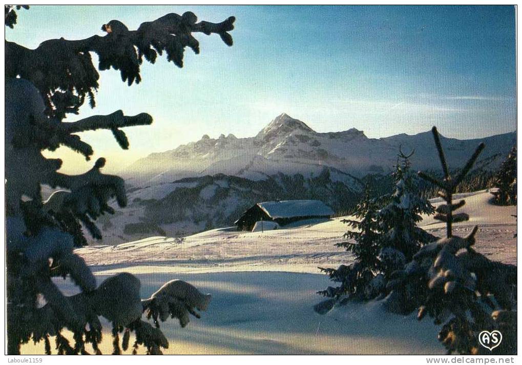 IMAGES DE NOS MONTAGNES EN HIVER : "Au Lever Du Soleil" - Contre La Lumière