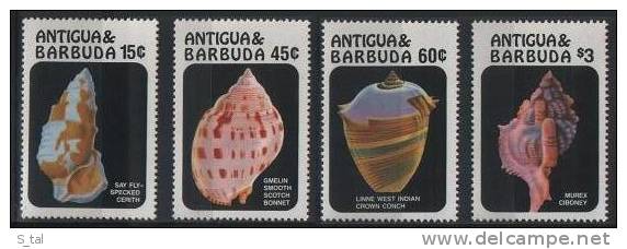 ANTIGUA & BARBUDA  Shells Set  4 Stamps  MNH - Coneshells