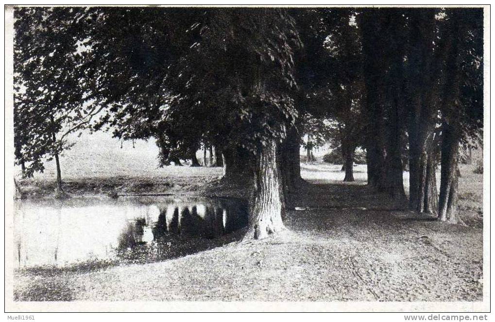 Plauen, Am Reusaer Park, 1925 - Plauen