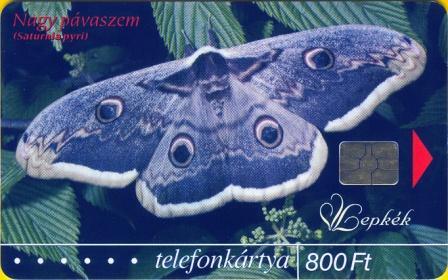 Hungary - P2004-32 - Nagy Pávaszemlepke - Saturnia Pyri - Butterfly - Ungheria
