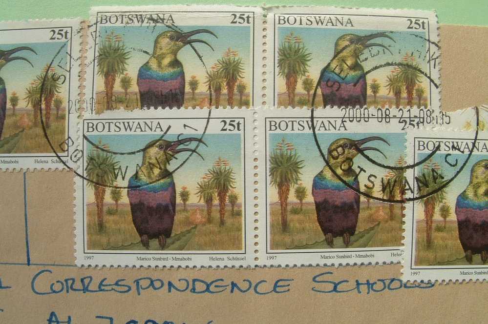 Botswana 2000 Cover To USA - Birds Sunbird - Botswana (1966-...)