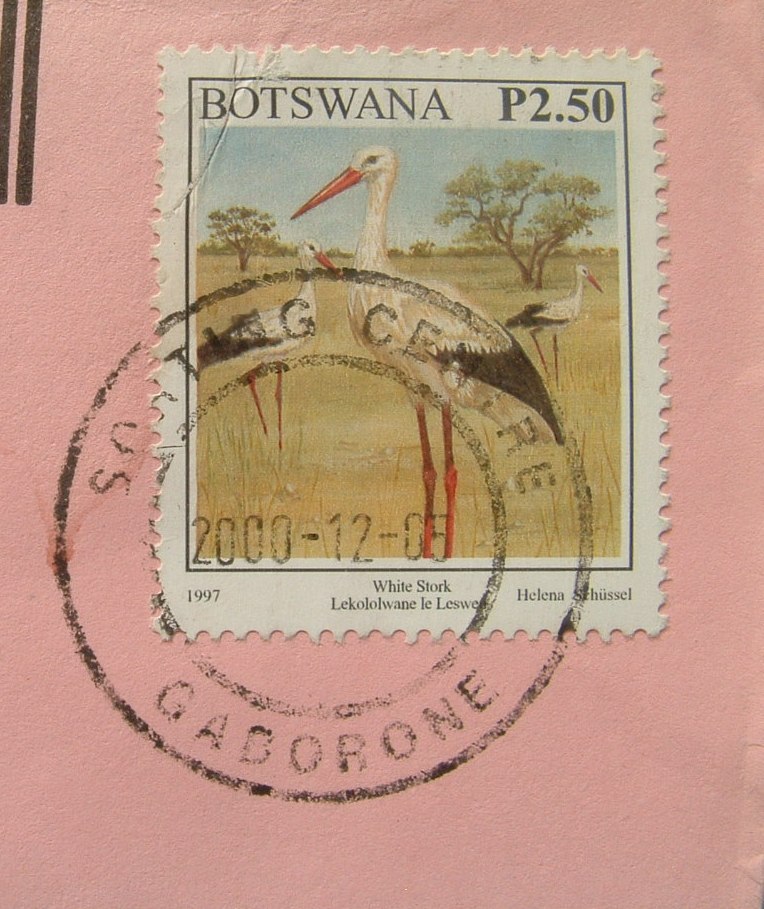 Botswana 2000 Cover To USA - Birds White Stork - Botswana (1966-...)
