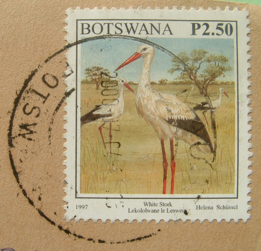 Botswana 2000 Cover To USA - Birds White Stork - Botswana (1966-...)