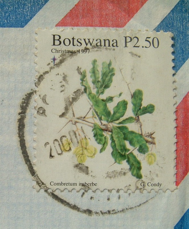Botswana 2000 Cover To USA - Christmas Plant Flower - Botswana (1966-...)