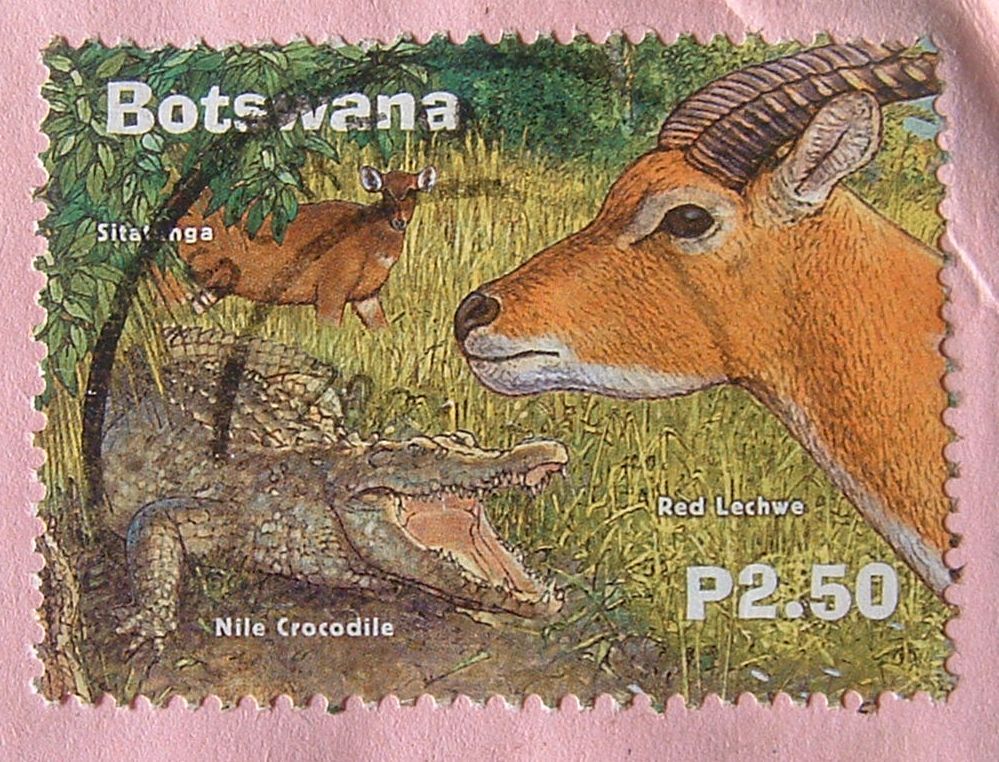 Botswana 2001 Cover To USA - Animal Gazelle Antelope Crocodile - Botswana (1966-...)