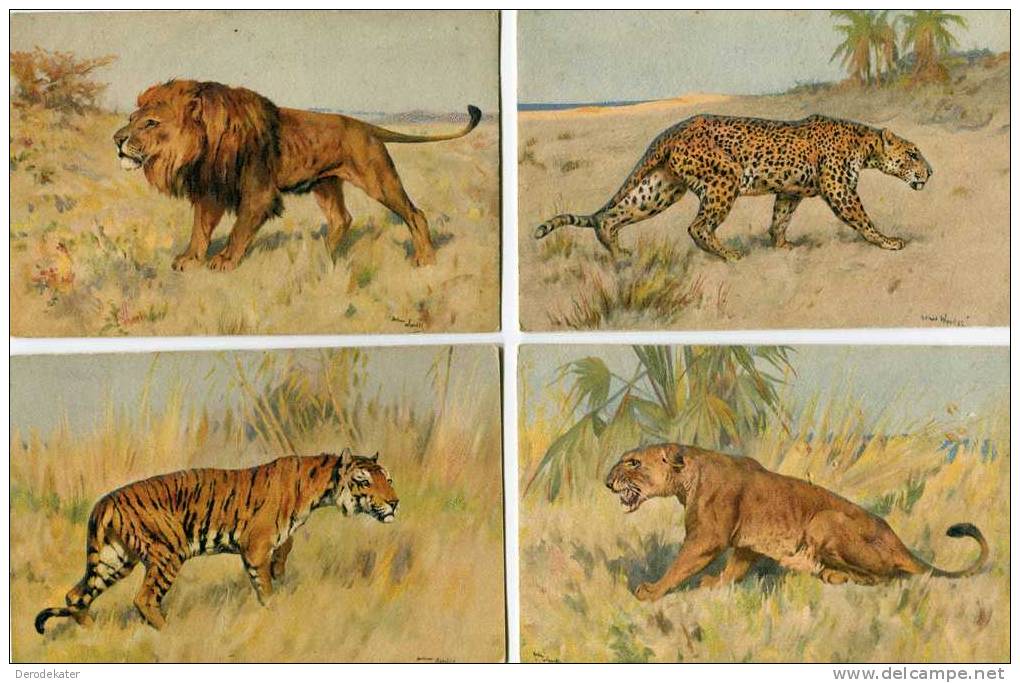 Lion,Tiger, Leopard.Leeuw,Tijger, Luipaard.4 Cards Arthur Wardle.Wild Cats.121-122-123-124.Switzerland. - Lions