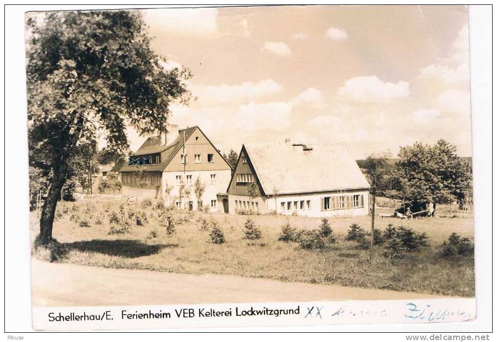 D702   SCHELLERHAU : Ferienheim VEB Kelterei Lockwitzgrund - Altenberg