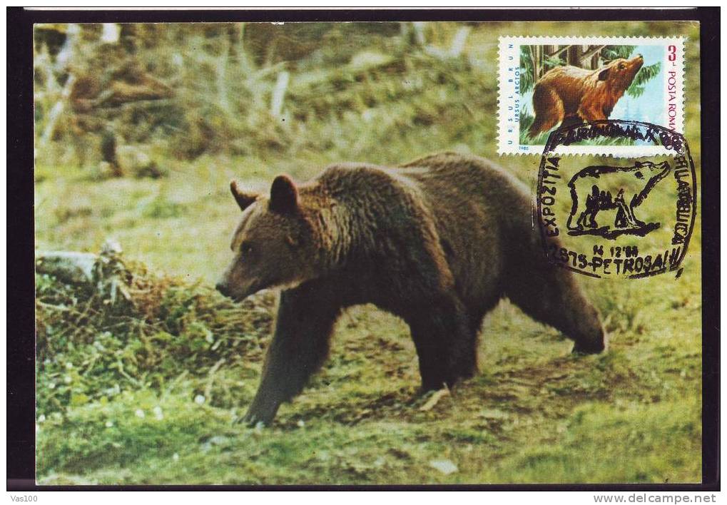 BEARS OURS 1 MAXI CARD MAXIMUM CARD 1986  ROMANIA. - Ours