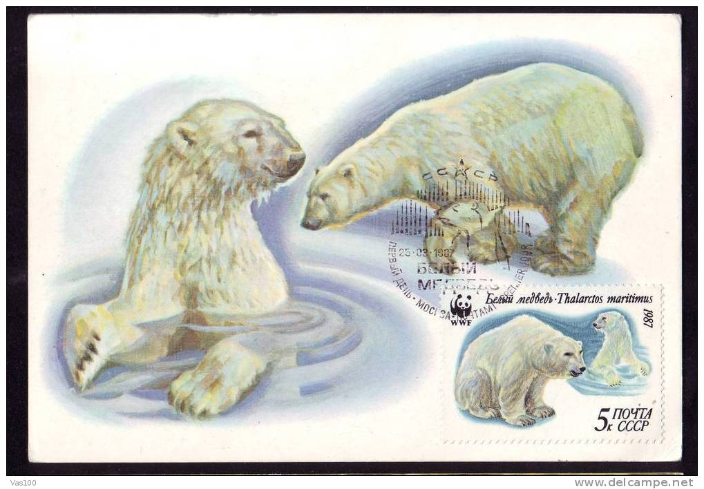 BEARS OURS 1 MAXI CARD MAXIMUM CARD 1987  RUSSIA (B) - Bears