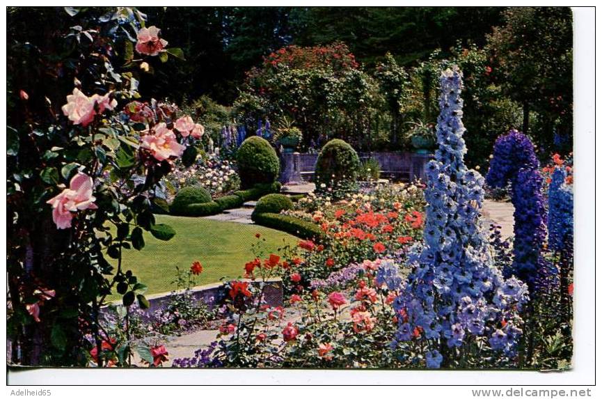 Butchart Gardens, Delphinium Time, Victoria B.C. - Victoria