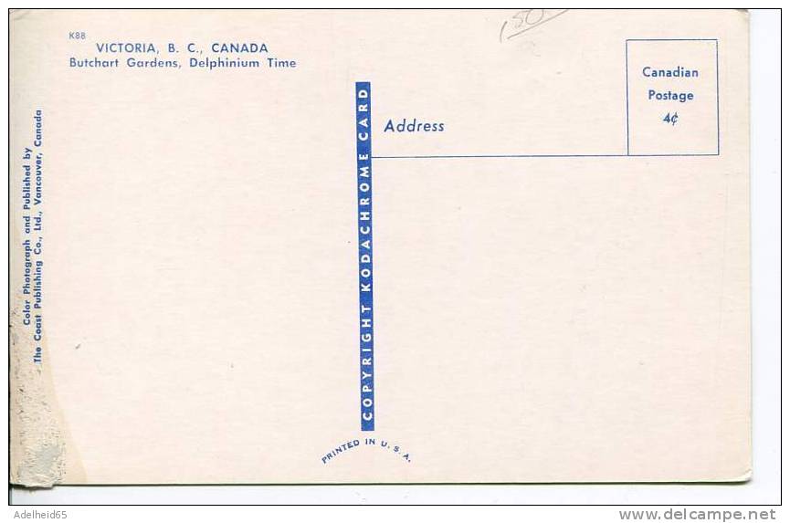 Butchart Gardens, Delphinium Time, Victoria B.C. - Victoria