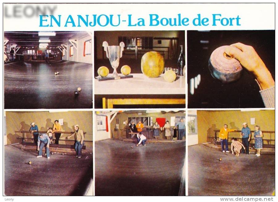 CPM D´ ANJOU (49) - "LA BOULE De FORT" (Sport Regional) - Vue Générale D´un Jeu - Regional Games