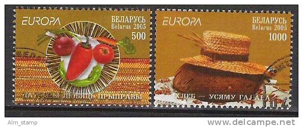 2005 Belarus  Weissrussland  Mi. 593-4 Used  Europa - 2005