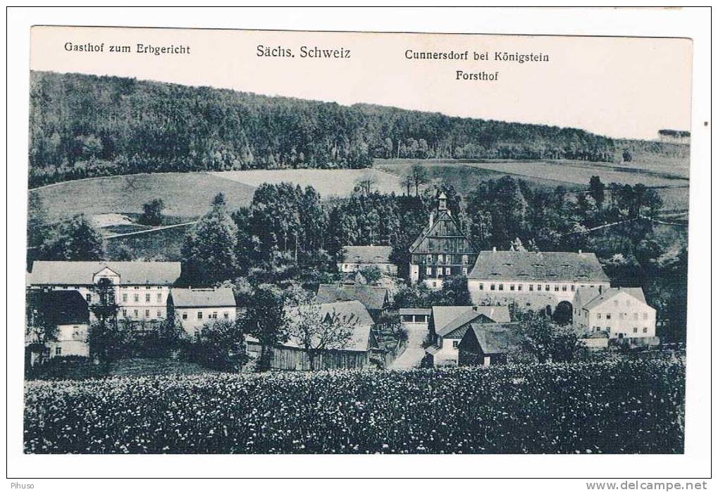 D788   CUNNERSDORF/KÖNIGSTEIN : - Koenigstein (Saechs. Schw.)