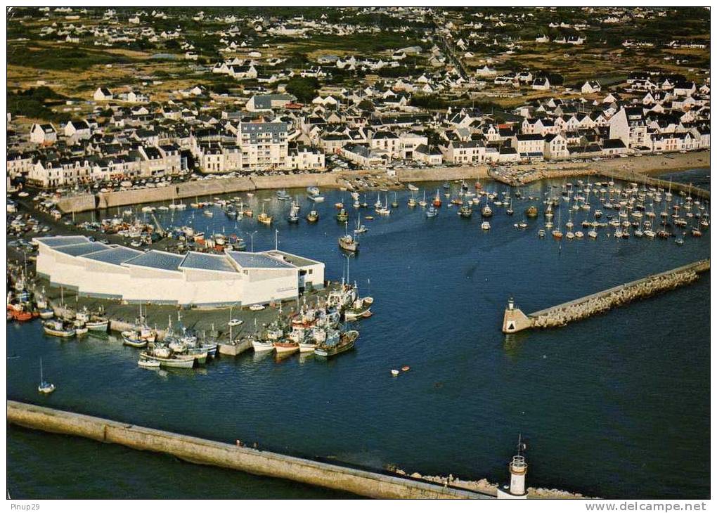 LA TURBALLE      1923      LE PORT ET LA CRIEE - La Turballe