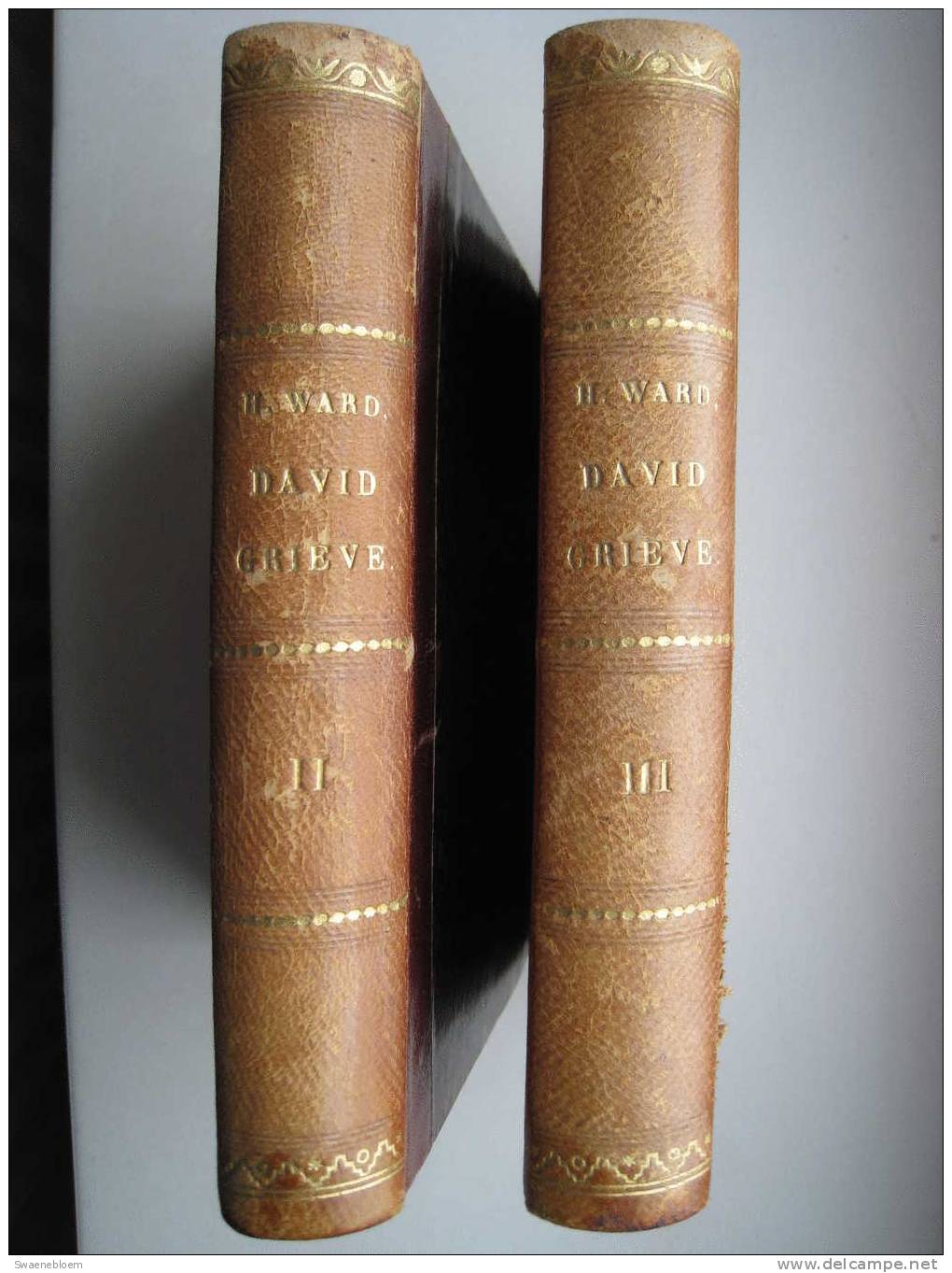 GB.- Book - The History Of David Grieve. By Mrs. Humphry Ward. Volume II And III. 5 Scans - 1850-1899