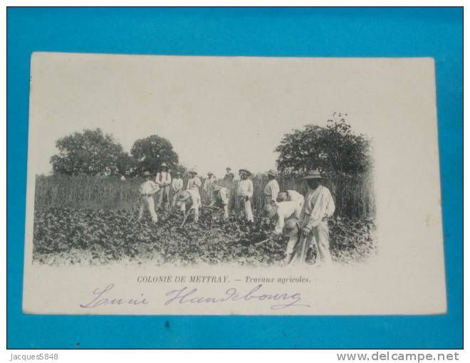 37) Colonie De Mettray - Traveaux Agricoles  - Année 1900  - EDIT  - - Mettray