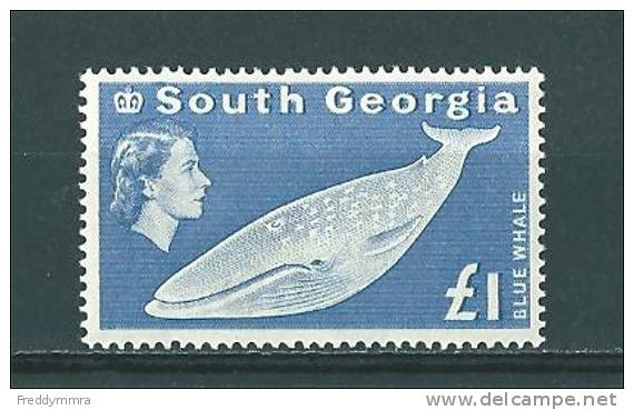 Géorgie Du Sud:  23 *   Baleine Bleue - Baleines