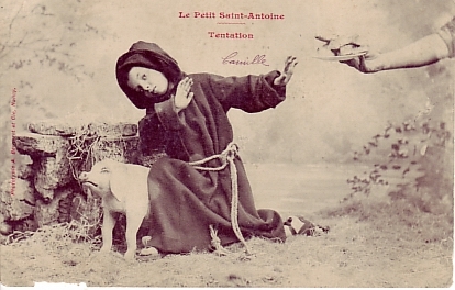Le Petit ST Antoine - Schweine
