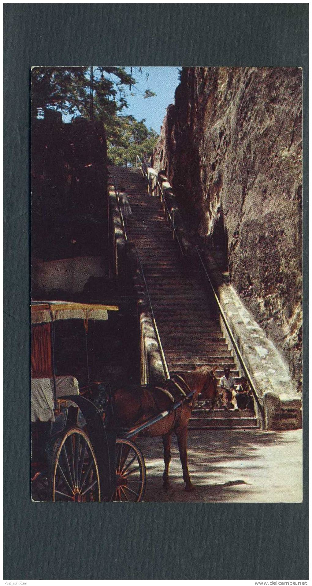 Amérique - Bahamas - The Queen´s Staircase - Bahamas