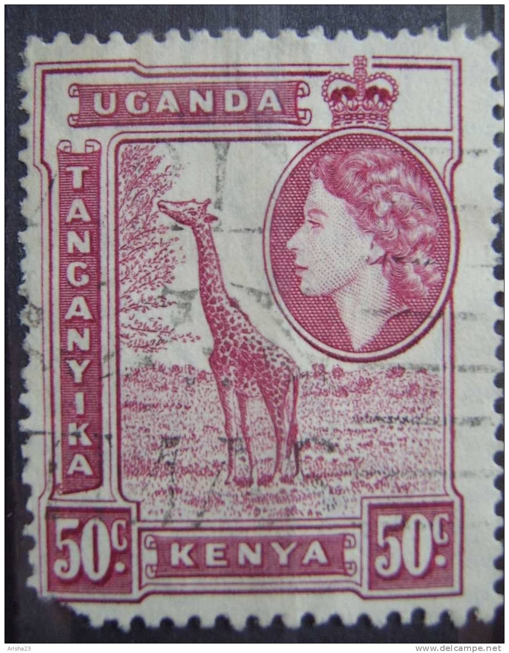 OS.18-9-5. Kenya, Uganda And Tanganyika 1954 - QE II Giraffe - 50c - Kenya, Ouganda & Tanganyika