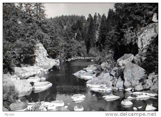 43 LE CHAMBON SUR LIGNON Alt 1000m Le Lignon A Rocheduc, Carte Photo - Le Chambon-sur-Lignon