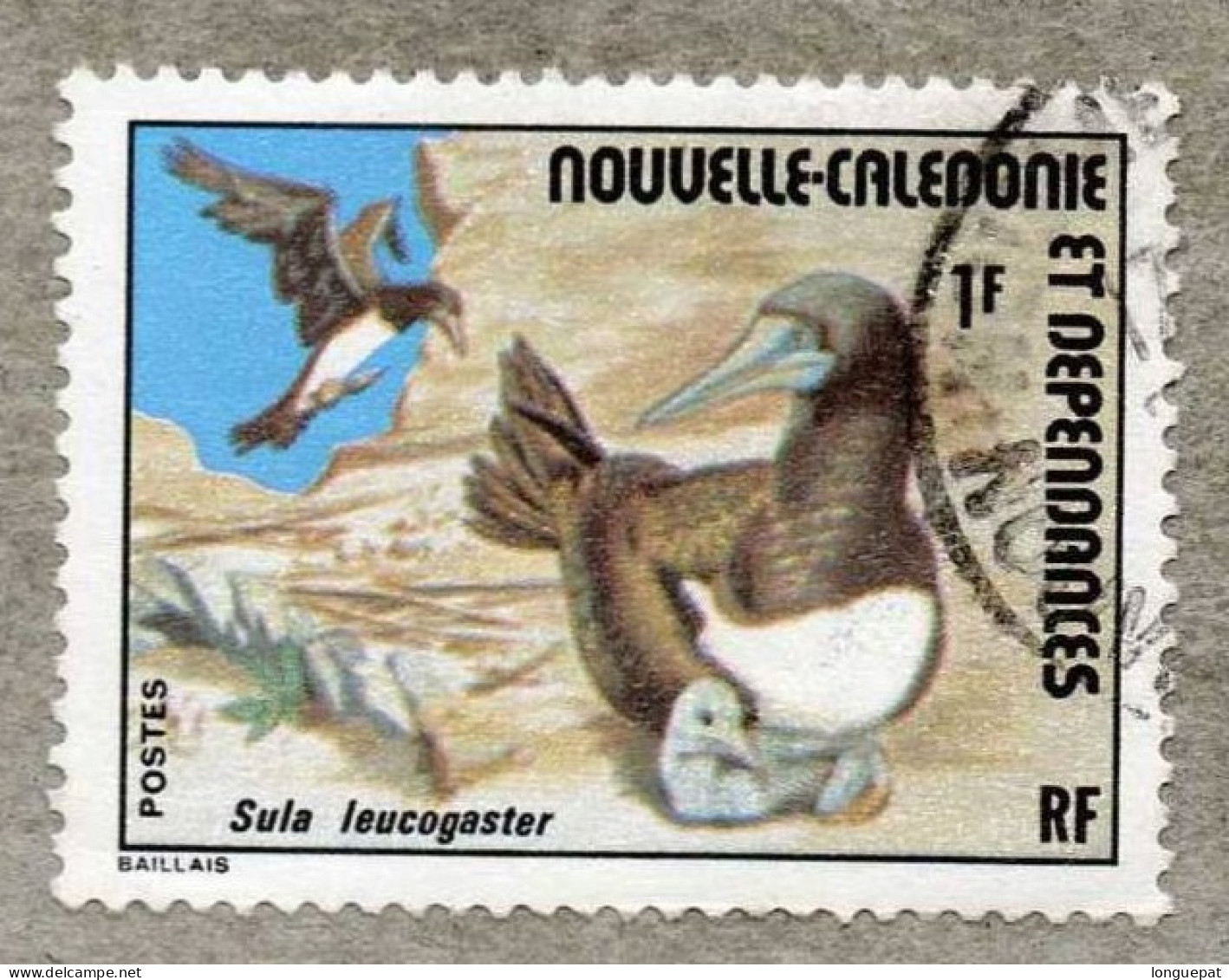 NOUVELLE-CALEDONIE  : Oiseau : Fou Brun (Sula Leucogaster) - Used Stamps