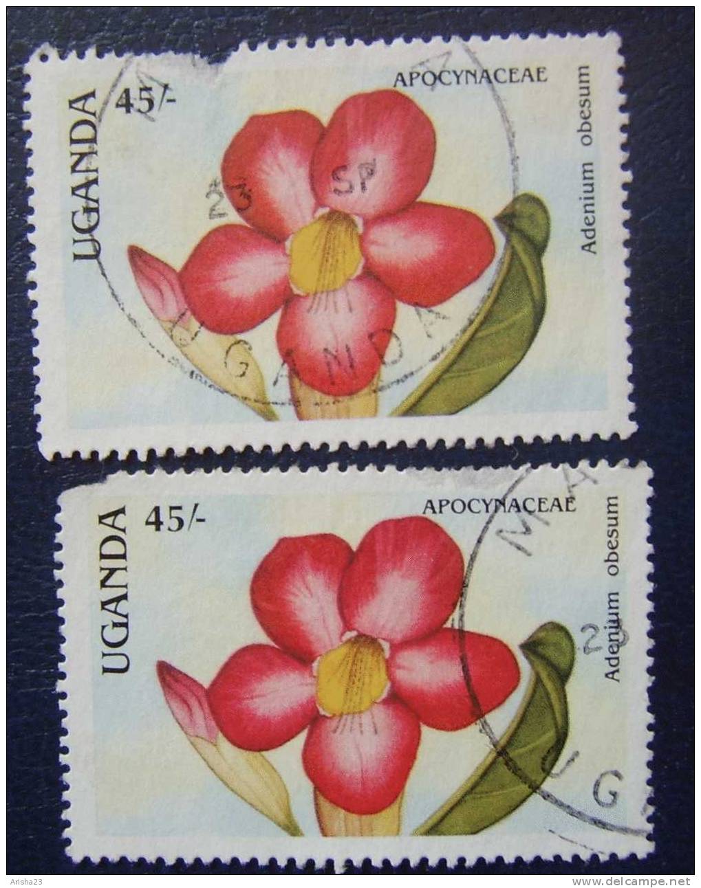 OS.19-4-3. Uganda, 1988 Flora Flower - Adenium Obesum - Ouganda (1962-...)