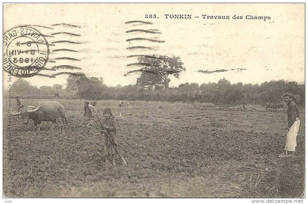 TONKIN      TRAVAUX   DES  CHAMPS - Viêt-Nam
