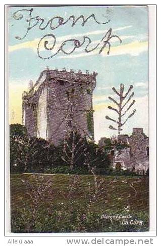 CPA BELLE Carte Postale IRLANDE From CORK Paillette TBE - Cork