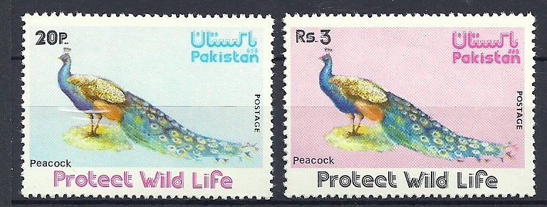 Pakistan 1976 Birds Oiseaux Aves Peafowl Pavo MNH - Hühnervögel & Fasanen