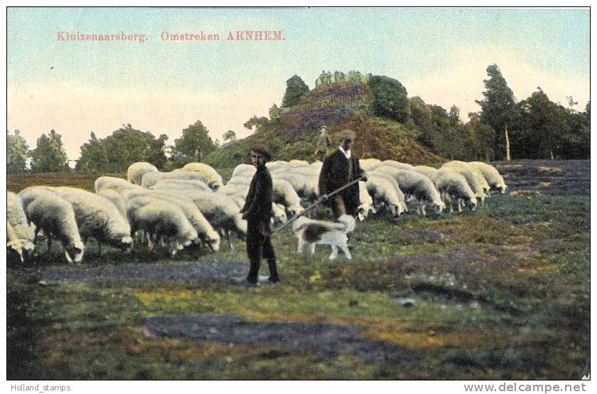 ANSICHTKAART  (450) ARNHEM * KLUIZENAARSBERG *  GELOPEN 1913 NAAR ZWOLLE * SCHAAPSKUDDE - Arnhem