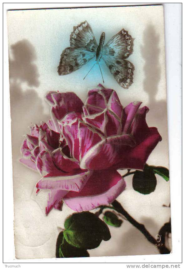 C3975  - Papillon - Roses - Insectos